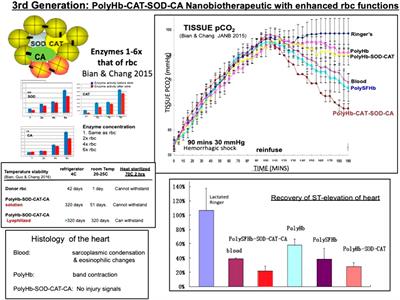 Nanobiotechnological basis of an oxygen carrier with enhanced carbonic anhydrase for CO2 transport and enhanced catalase and superoxide dismutase for antioxidant function